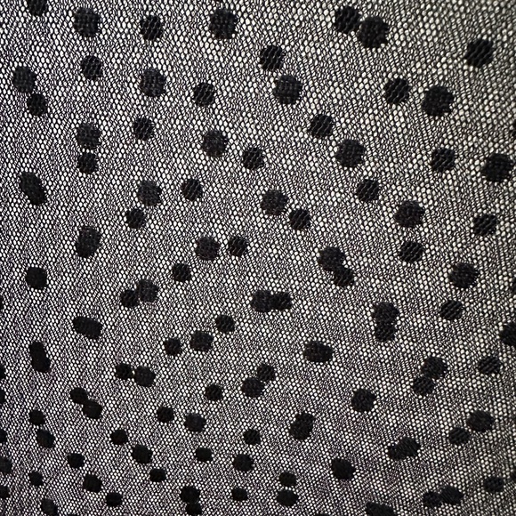 Women’s Sheer Mesh Dress with Polka Dots - Picture 5 of 9